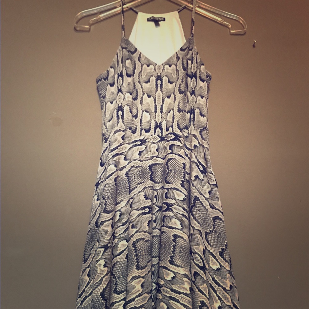 EXPRESS sexy Leopard Dress